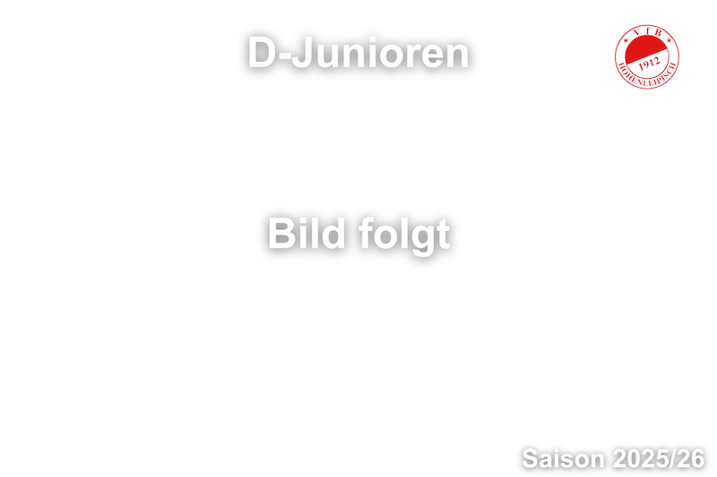 VfB Mannschaftsfotos Nachwuchs Saison 25 26 D Junioren