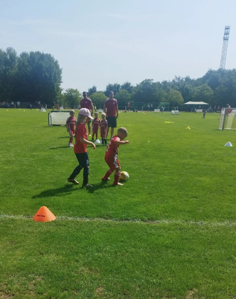 12ef414d-d668-44cd-8dd0-4116fe96b29e