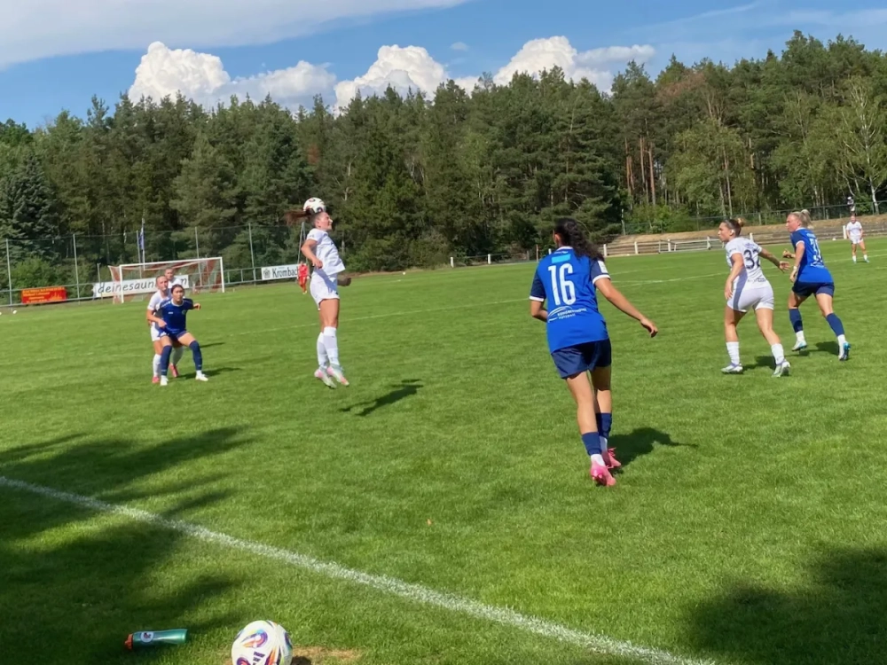 41e0bd13-3add-42e1-b76d-1a7111dd3f13