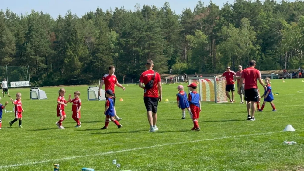 ba0f8985-3a08-485f-8614-a9650ca70d95