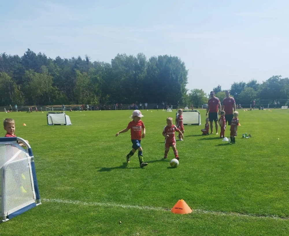 e43ce7b0-e356-4c51-aa6d-00d1ffecd331